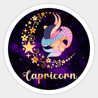 Capricorn Zodiac Sign Horoscope Sticker